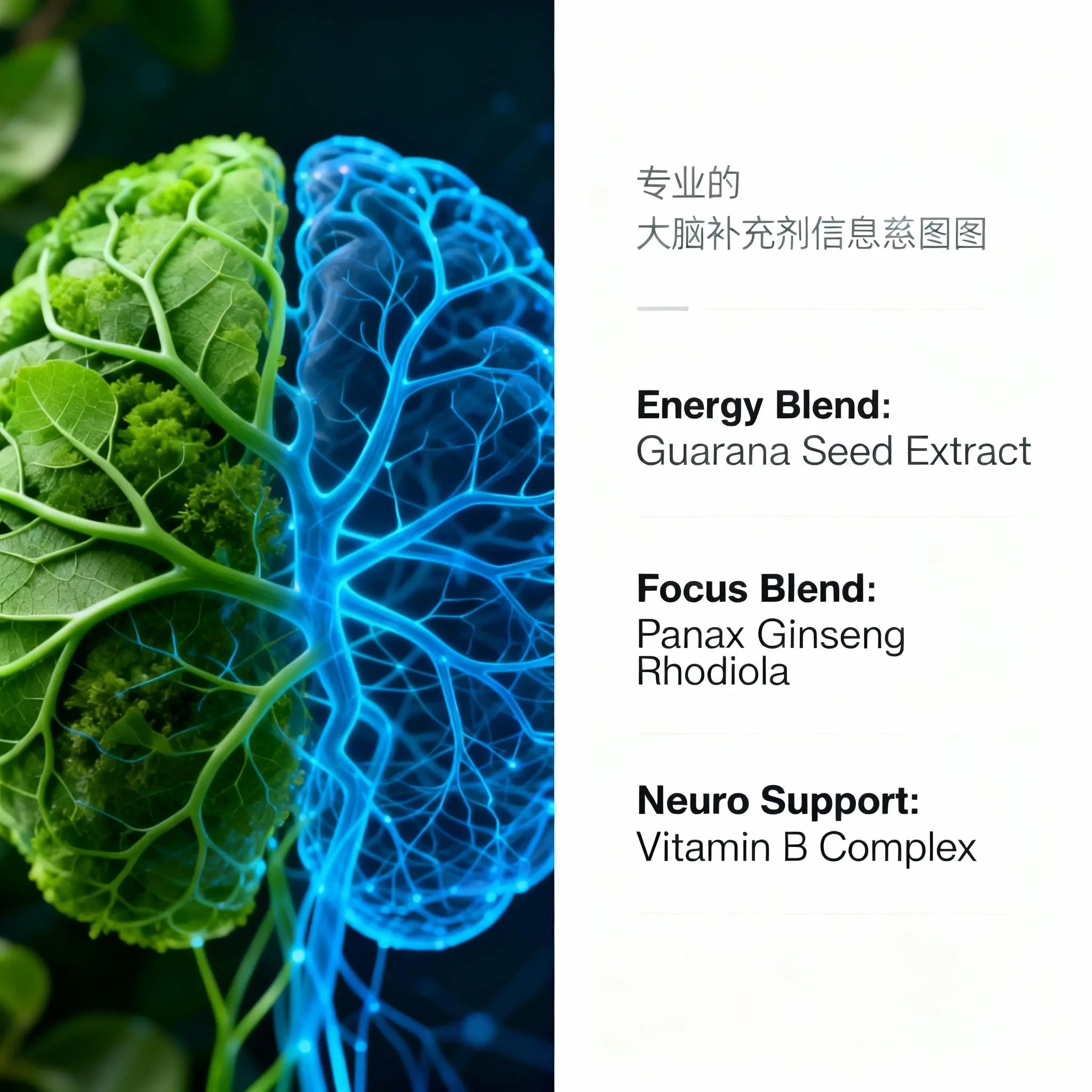 【脑力泵】Neuro-Max™ 纽罗·麦克斯 – 脑力提升胶囊 nutrum纽康
