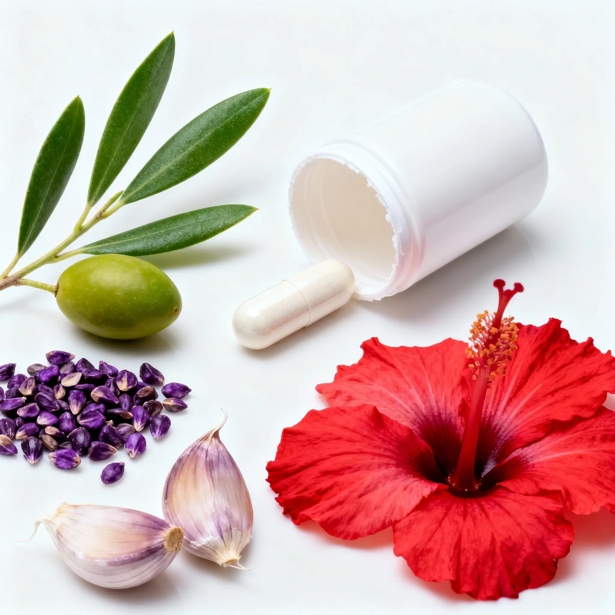 【心压平】Vaso-Calm™ 维索·卡姆 – 天然血管舒缓素 nutrum纽康